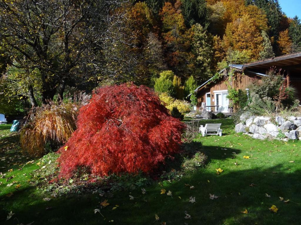 Gaestehaus Buehler Hotel 3*